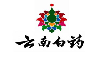 合作伙伴